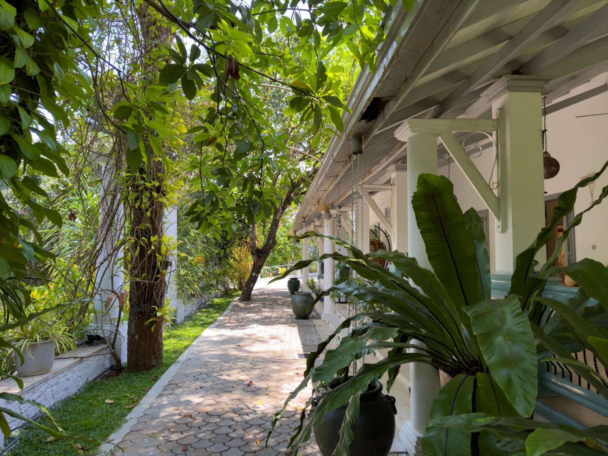 Fairy Cottage แคนดี้ ภายนอก รูปภาพ
